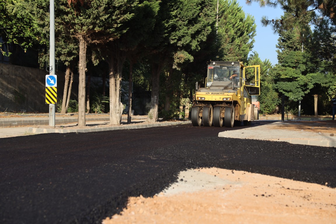 Gney Mahallesinde Kavak Dzenlemesi ve Asfalt Serimi