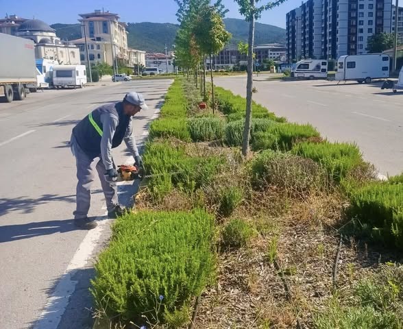 Orta Refj ve Yeil Alanlarda Bakm almalar Devam Ediyor