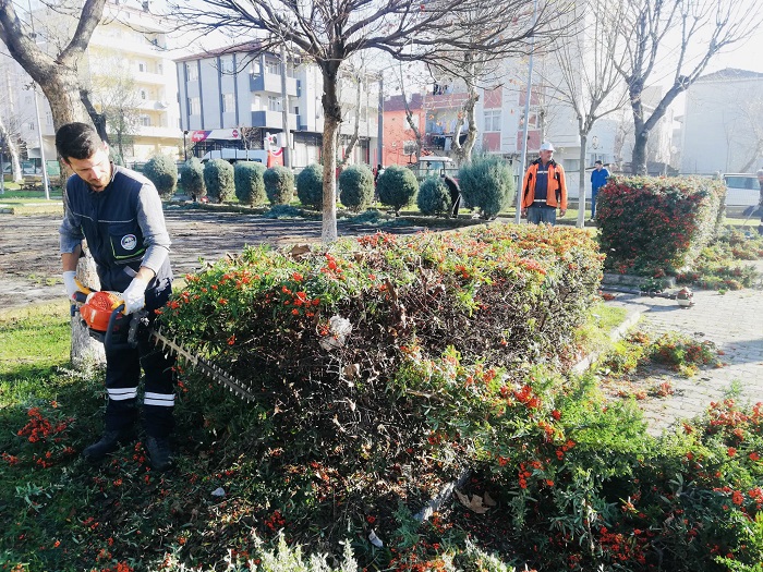 Parklarda Ot Biimi Ve Form Budama Yaplyor