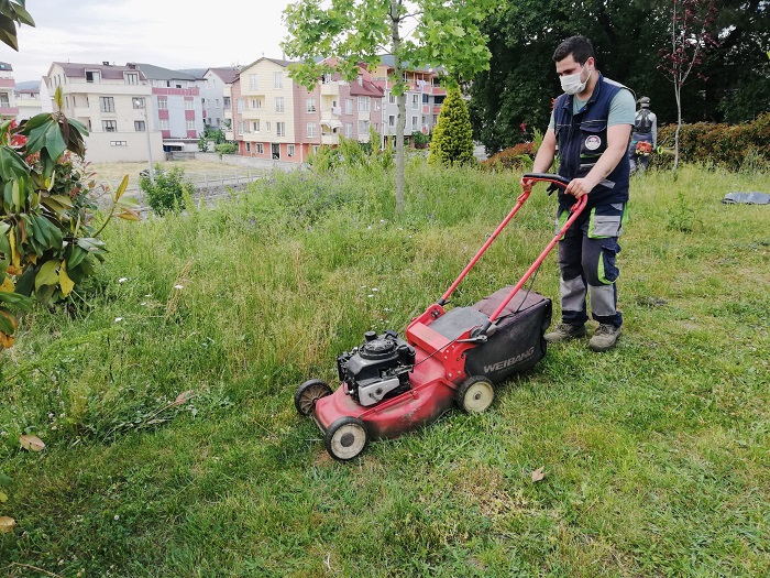 Krfezde Yabani Ot Temizlii