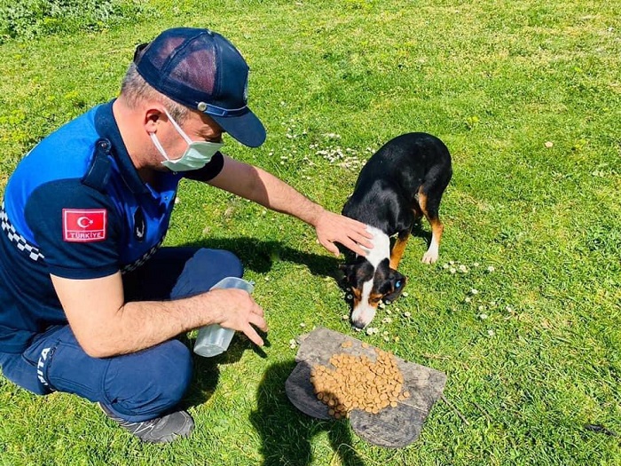 Sokak Hayvanlarna 41 Noktada Beslenme Destei