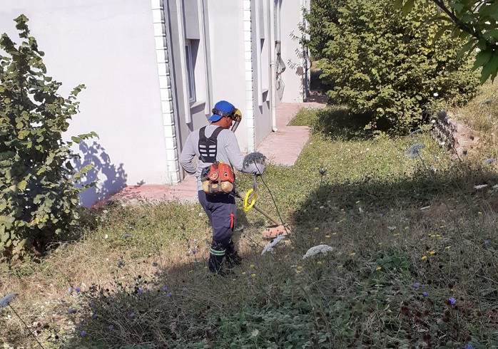 Krfezde Ot Temizlii Aralksz Sryor