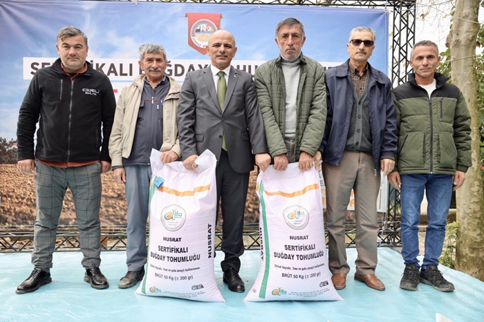 Krfezde 400 iftiye 40 Ton Buday Tohumu Destei
