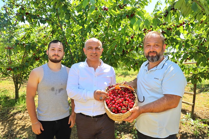 Bakan St, "Kiraz Yetitiricilerine Desteimiz Srecek"