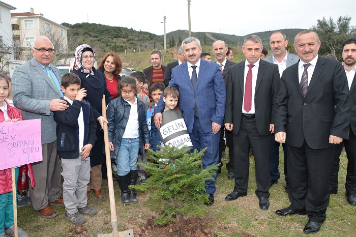 Minik Eller Krfezde Fidan Dikti