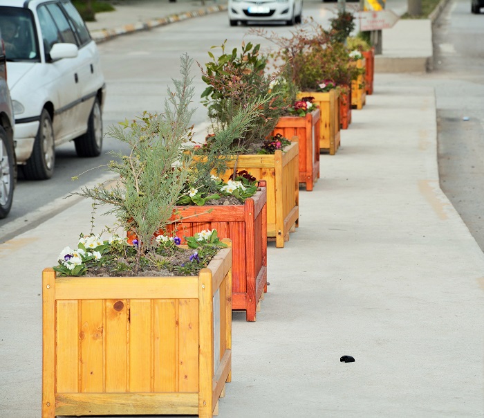 Ye�illendirme Seferberli�i Devam Ediyor