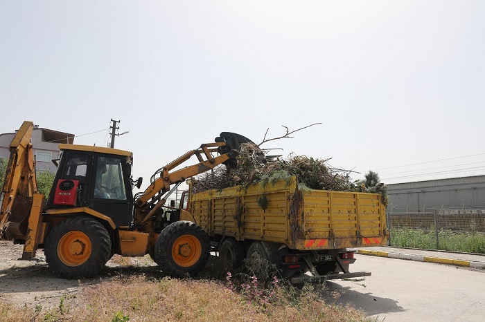 Toplanan Dallardan 465 Ton Doal Gbre Elde Edildi