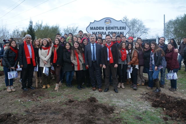 Madenciler in Krfezde Hatra Orman