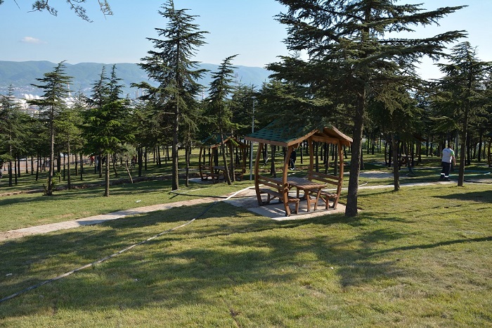 Krfezin Vitrini Deiiyor
