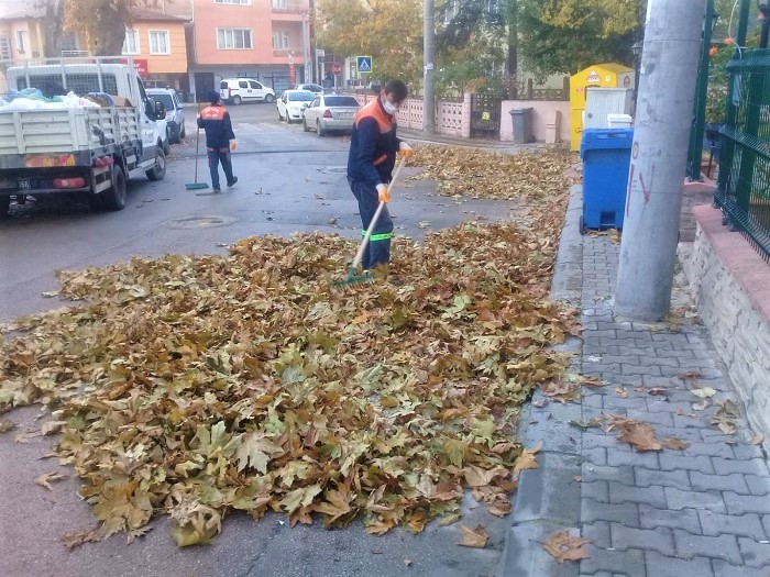 Dklen Yapraklar Temizleniyor