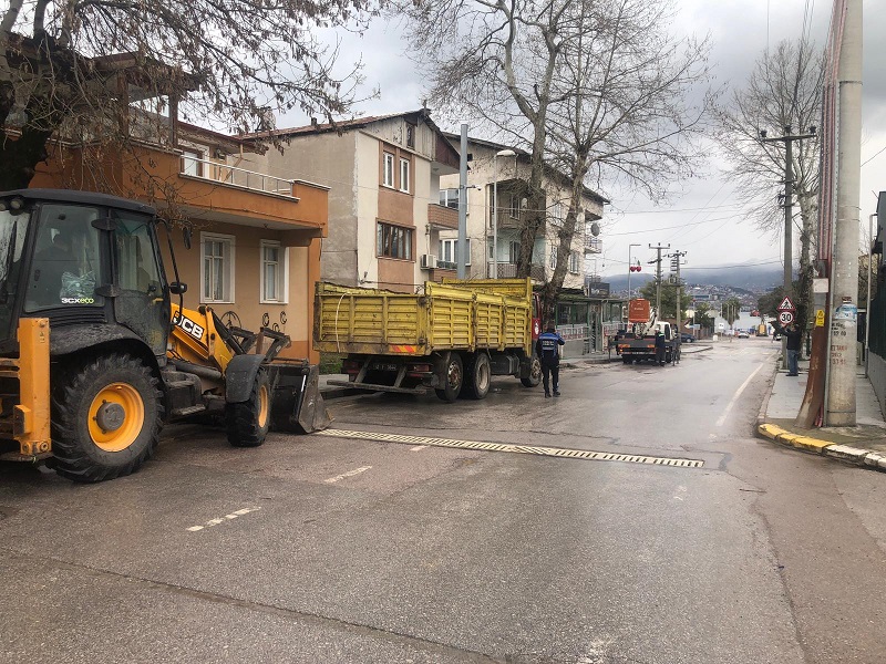 Budanan aa dallar gbreye dnyor