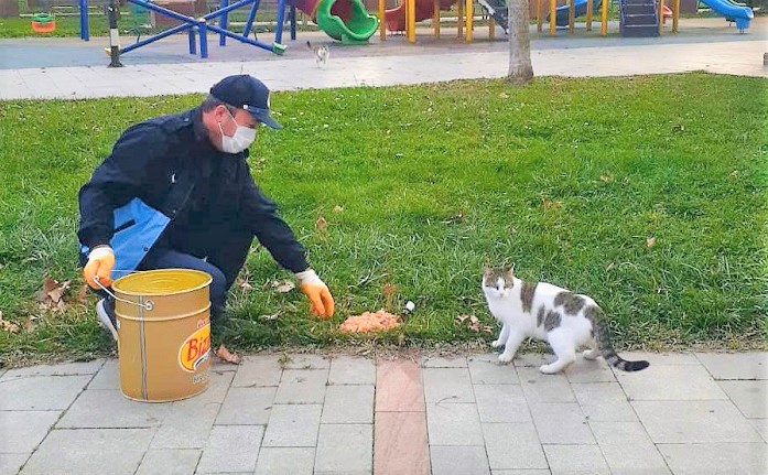 Krfezde Sokak Hayvanlar Unutulmuyor