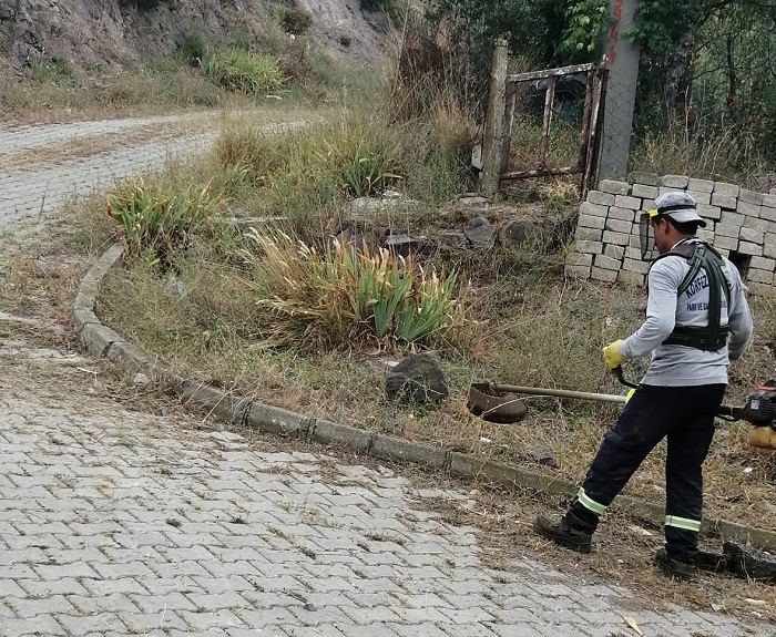 Krfezde ot bime almalar sryor