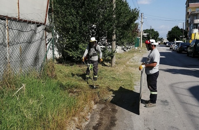 Krfezde ot bime almalar sryor