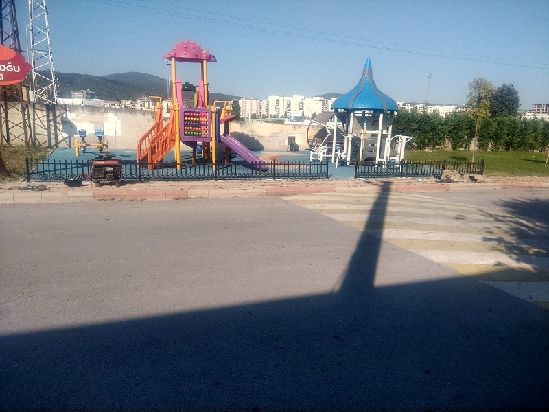 Vatanda istedi, parka it ekildi