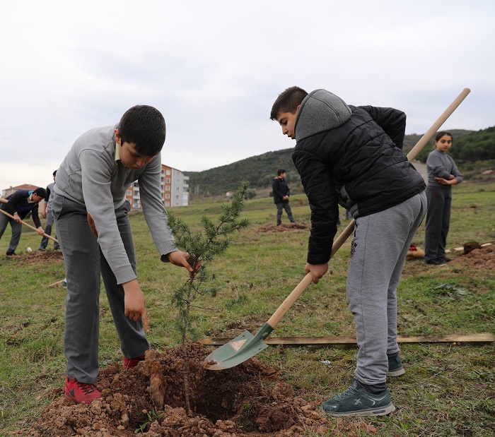 Krfezde 30 Bin Fidan Toprakla Buluturuldu