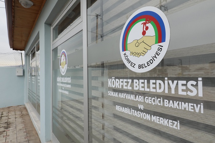 SOKAK HAYVANLARININ DOSTU KRFEZ BELEDYESݴ