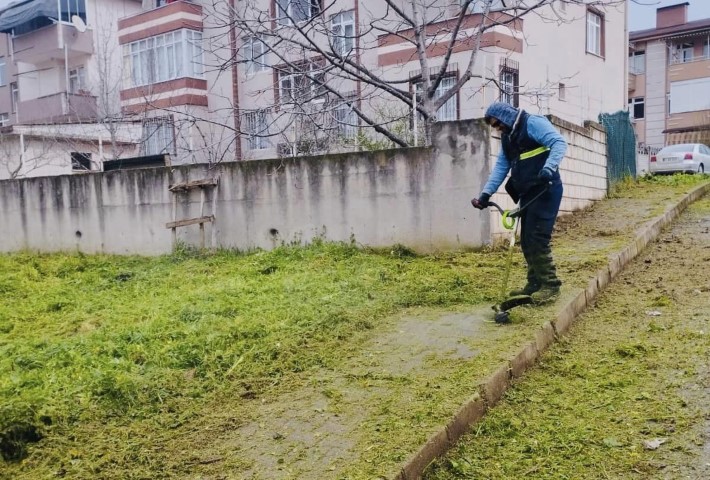 Krfezde Yabani Otlar Biiliyor