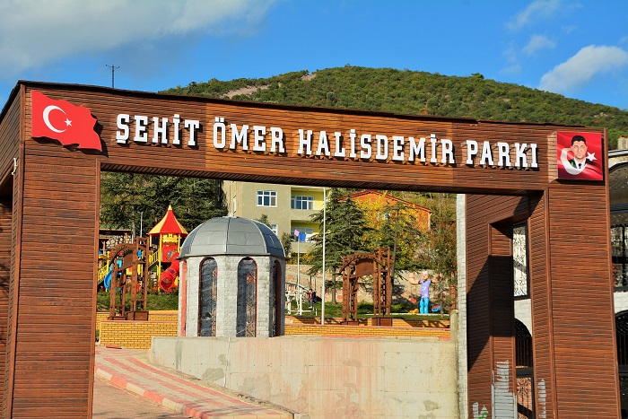 ok Amal Salonda Sona Doru Gelindi
